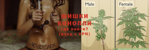 прущие грибы Алексеевка