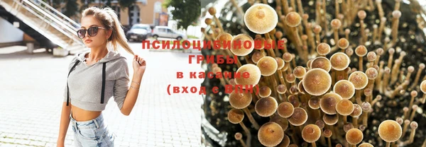 бошки Аркадак
