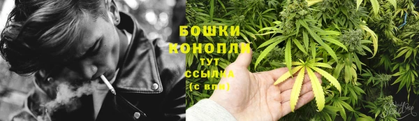 спайс Арсеньев