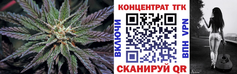 ТГК Wax  Петропавловск-Камчатский 